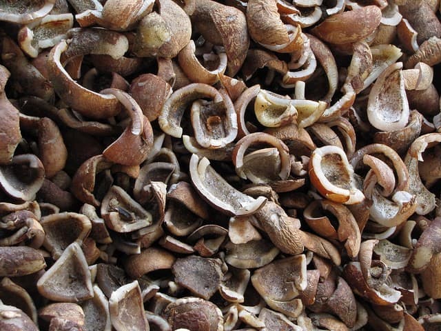 Copra Export